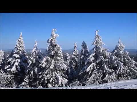 S Vremena Na Vreme & Snežana Jandrlić ~ Prvi Sneg ~ Uživo