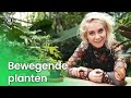 Bewegende planten | Plantastisch