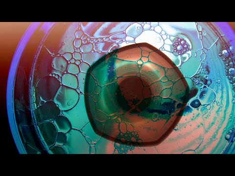 02.02.2020 LAVYLITES Event in Hannover - Kreationen für Prävention, Bewusstsein und Wohlstand