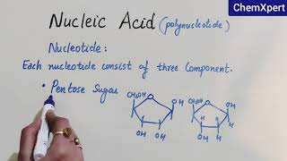 Nucleic Acid  | Biomolecules |Class 12 Chapter 14