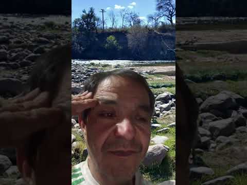 Momento destacado de transmisión en vivo