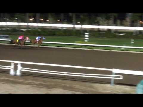 Moonist over Heza Dasha Fire