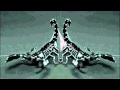 ± Crossparty - Insect ± 