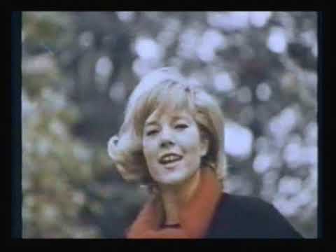 Sylvie Vartan - The Locomotion (French)