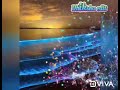 WhatsApp Status Tamil Pooja Vaa Pooja Vaa