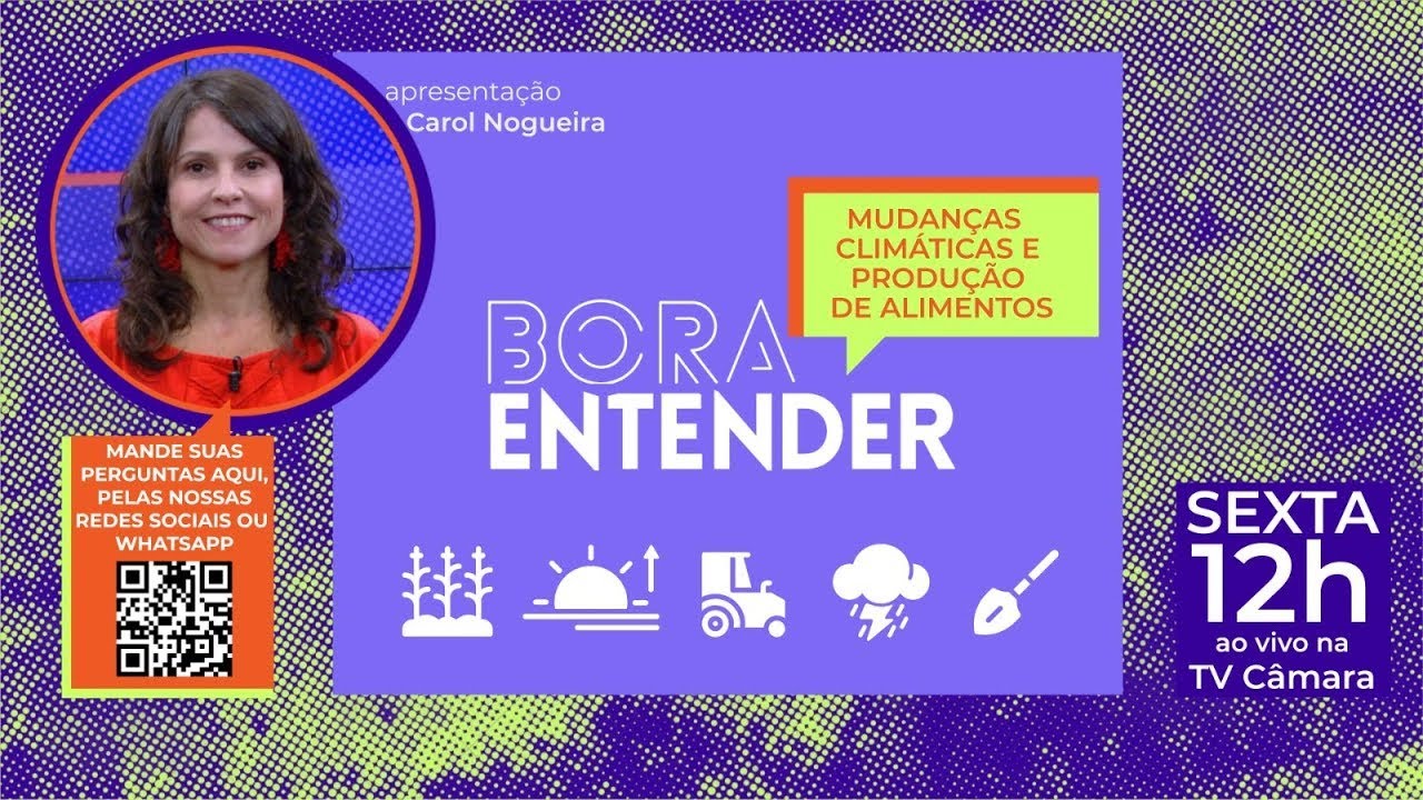 Mudanças climáticas e produção de alimentos - 06/12/24 #BoraEntender