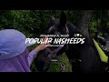 Popular Nasheeds Playlist By Muhammad Al Muqit Slowed Reverb Peaceful Arabic Nasheed No Music