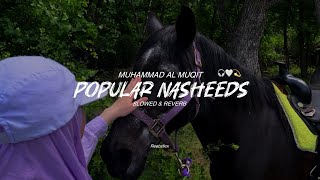Download lagu 'Popular Nasheeds playlist by Muhammad Al Muqit” | Slowed & reverb |peaceful Arabic Nasheed no music mp3 Download lagu 'Popular Nasheeds playlist by Muhammad Al Muqit” | Slowed & reverb |peaceful Arabic Nasheed no music mp3