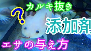 【うぱさん観察日記】#4 うぱさんの変化と疑問質問への回答