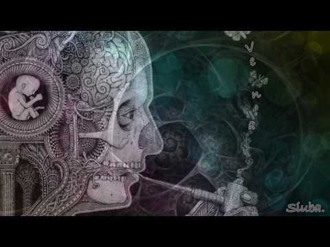 Siuba - VENA 📸📸