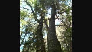 Arild Andersen - Ways of Days