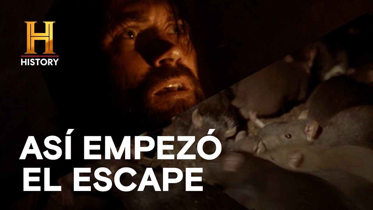 La fuga que nació entre ratas 🐀 - GRANDES ESCAPES CON MORGAN FREEMAN