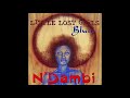 N'Dambi - What's Wrong With You