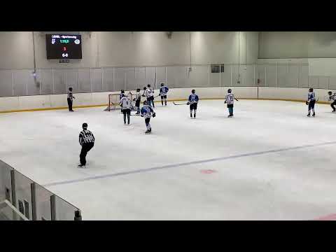 2020.12.05. LEHEL HC - SPORTORSZÁGI CÁPÁK U18 3.harmad