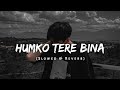 Slowed Reverb Humko Tere Bina Jeena To Sikha Lofi Song Rahul Mishra Lofi Hindilofi Song
