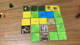 ルール動画