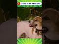 வந்தது வந்துட்ட எதோ இன்னைக்கு ஒரு நா�