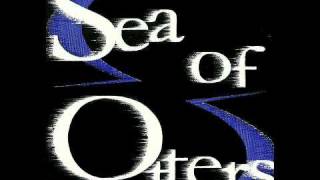 Sea Of Otters-Hit In The Head Again-121311.wmv