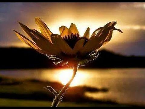 Aeron Aether feat. Catherine - Twilight (Clandestine Remix)