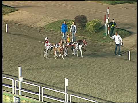 Trotto 18/09/2016 - pony