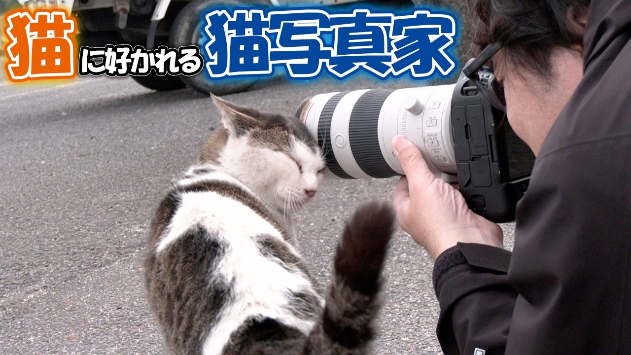 冬の猫島で神ショットを激写！