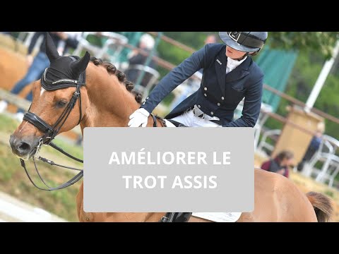 Améliorer le trot assis