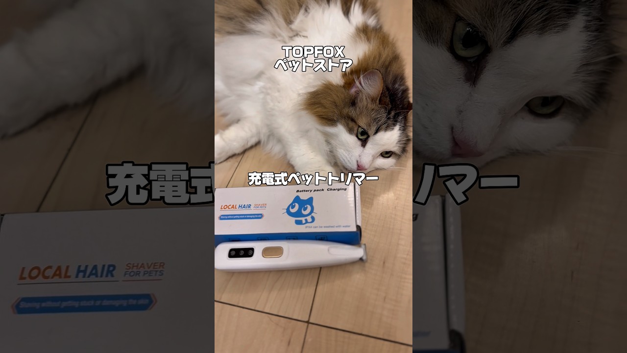 Gz⭐︎1,000views|ゴッソリ剃れるペットトリマー🪒 #TOPFOX #ペットトリマー #shorts