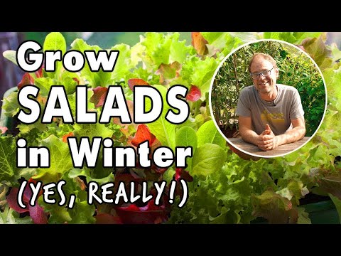, title : 'Plant Salads Now for Winter!'