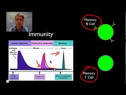 The Immune System