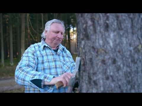 Léčivé výrobky ze smůly