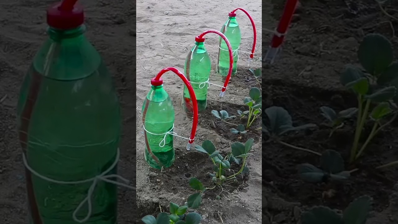 how to make homemade drip irrigation system #gardenideas #dripirrigation #irrigationmethod