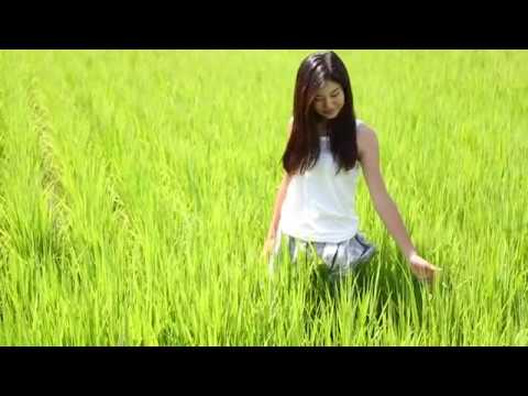 魚沼市観光ＰＶ ～夏～　Uonuma-City  summer ver.