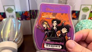 Scentsy Flash Sale Haul January 2025
