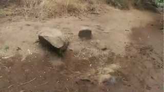 Download lagu Lake Hodges Trail Run - Close Call mp3