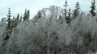 Newfoundland ice storm 3/7/10 Dangerously Beautiful