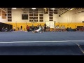 Amelia Level 6 NY States