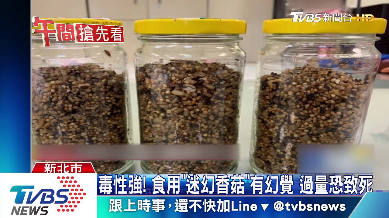 碩士生自製無菌培養室 種「迷幻香菇」遭逮
