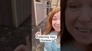 The BEST way to protect your chicken coop!