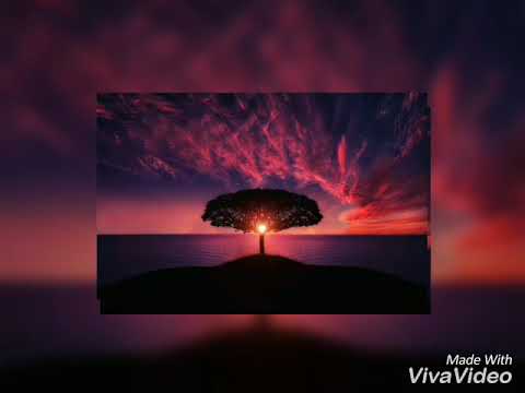 Kavkaz Facia - Xalaz