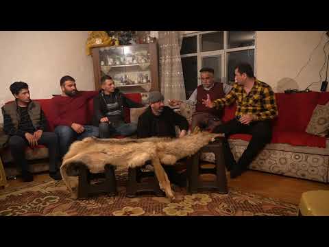 DEV KURDU 5 KÖPEK ZOR YIKTI ! ( YAŞANMIŞ OLAYLAR 10 ) DEV SİYAH KURT, ÇOBAN,  KANGAL, MALAKLI, AKBAŞ