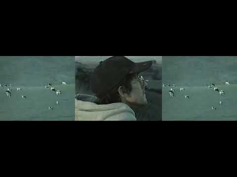 Video thumbnail for Aviva