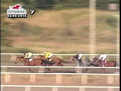 7MA CARRERA DEL SABADO 9 DE ABRIL DE 2016 HPR