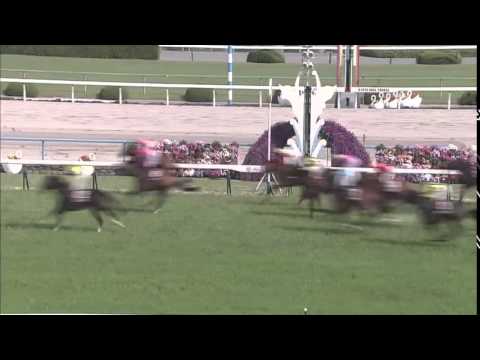 The Championships Contender - World Ace