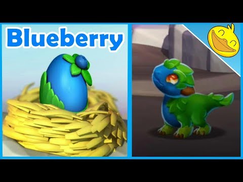 Epic BLUEBERRY DRAGON Unlocking + Hatching! Legendary GUARDIAN DRAGON! - DML #1171
