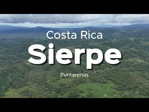 Sierpe desde el Aire | Osa | Puntarenas | Costa Rica | 4k