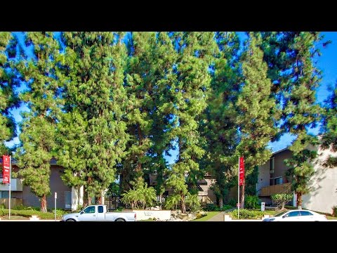 Brookwood Apartments- 18537 Arrow Highway Covina, CA 91722