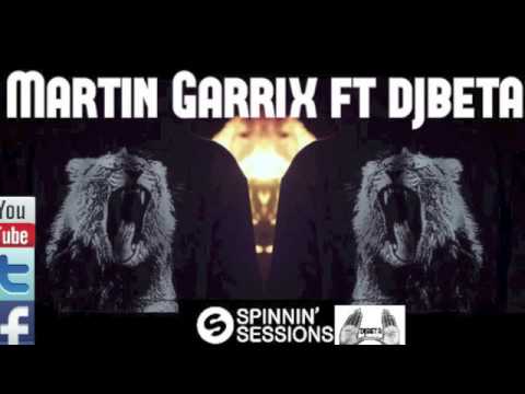 Martin Garrix Animals