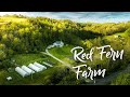 AMAZING Micro-Farm in the Blue Ridge Mountains!
