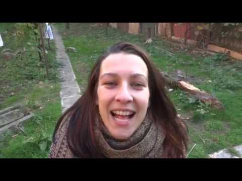 Bufonul la FNTI (BIS Sibiu)