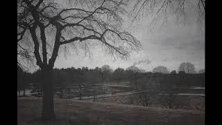 A Darkness Coming - Piano &amp; Vocal Katatonia cover (featuring Nikola Cvetkovic)